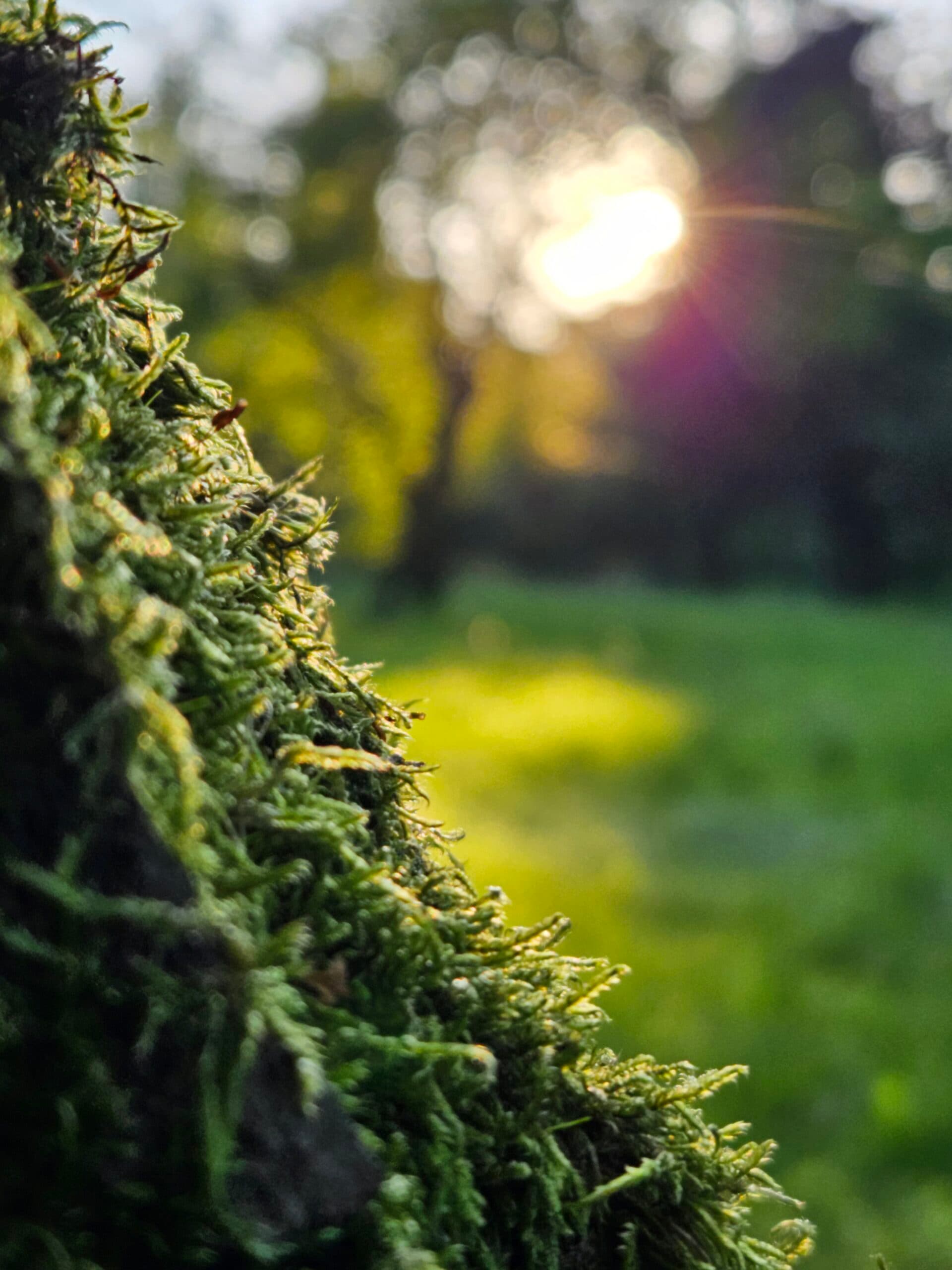 Przykładowy spokojny kadr używany jako metafora chwili